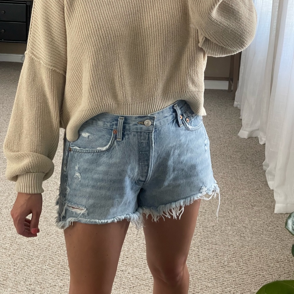 Agolde Parker Shorts in Swampmeet